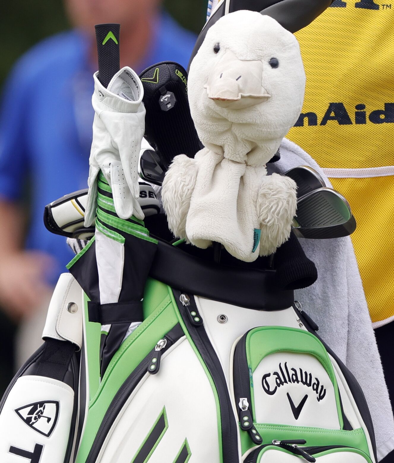 Senior PGA